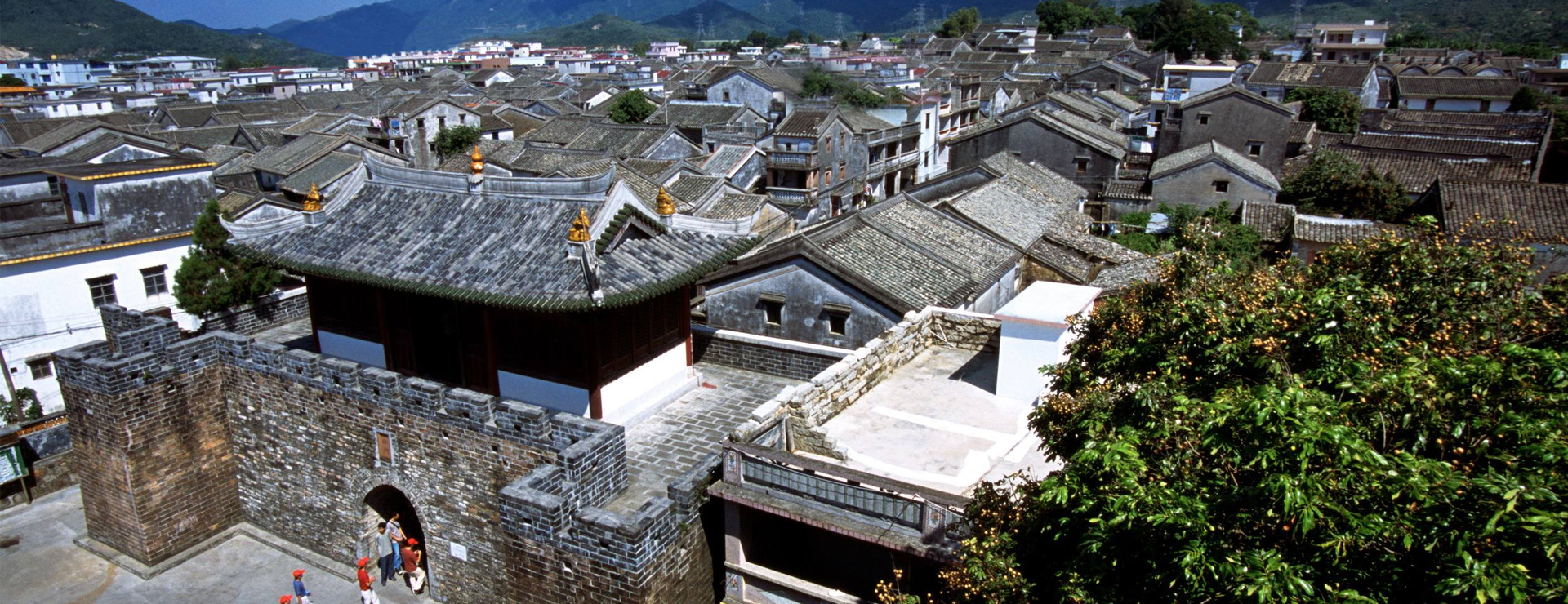 大鵬新區(qū)8月游購(gòu)攻略集結(jié)~